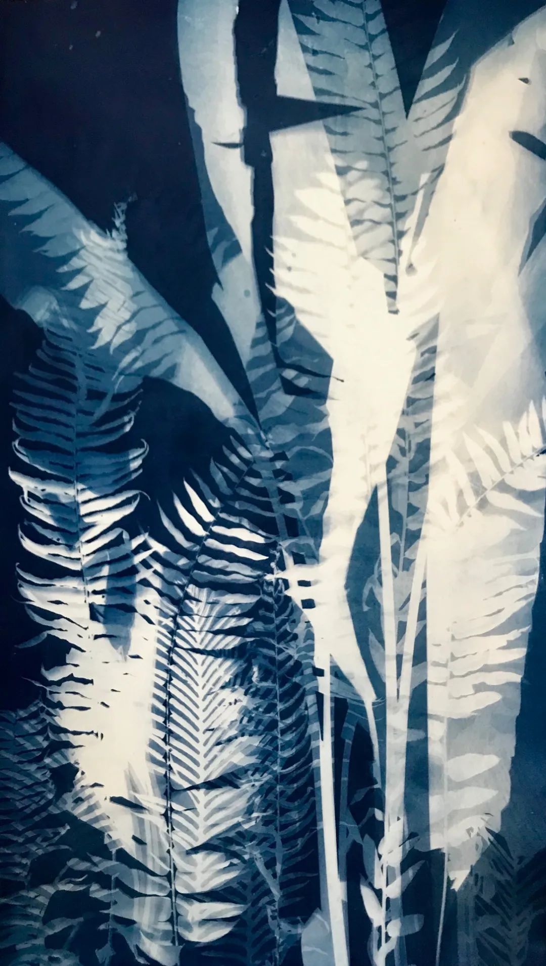 有限的预算无限的普鲁士蓝