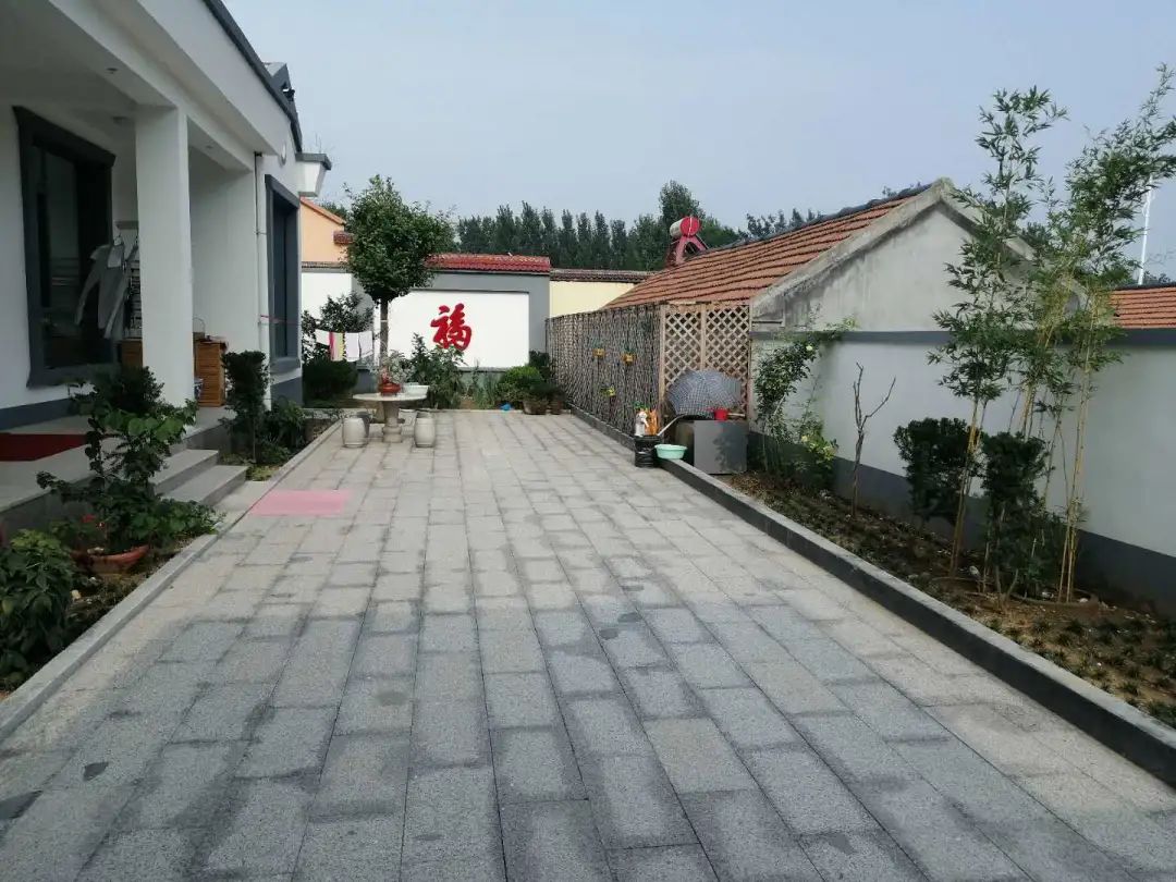 潍坊美丽庭院示范户擂台赛|8月第3周"周明星"公布!