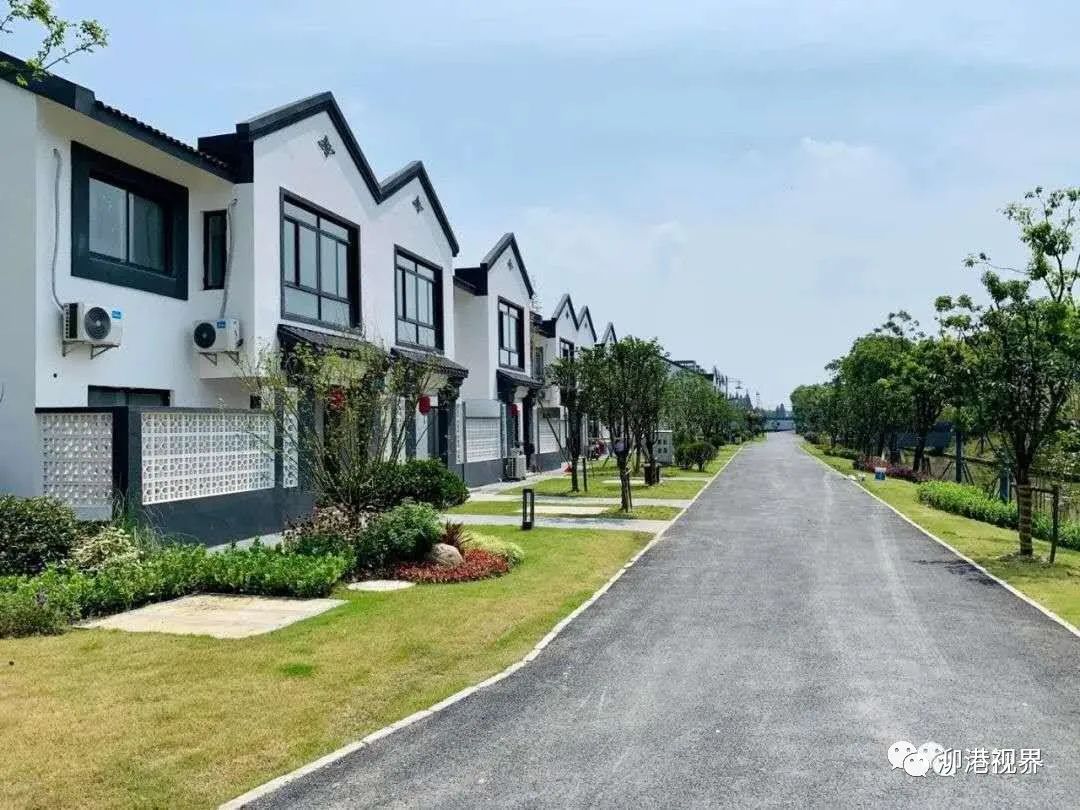 沈羿凡《醉美黄桥村》韩芯乐《倒影》一等奖由泖港镇文明办,社区服务