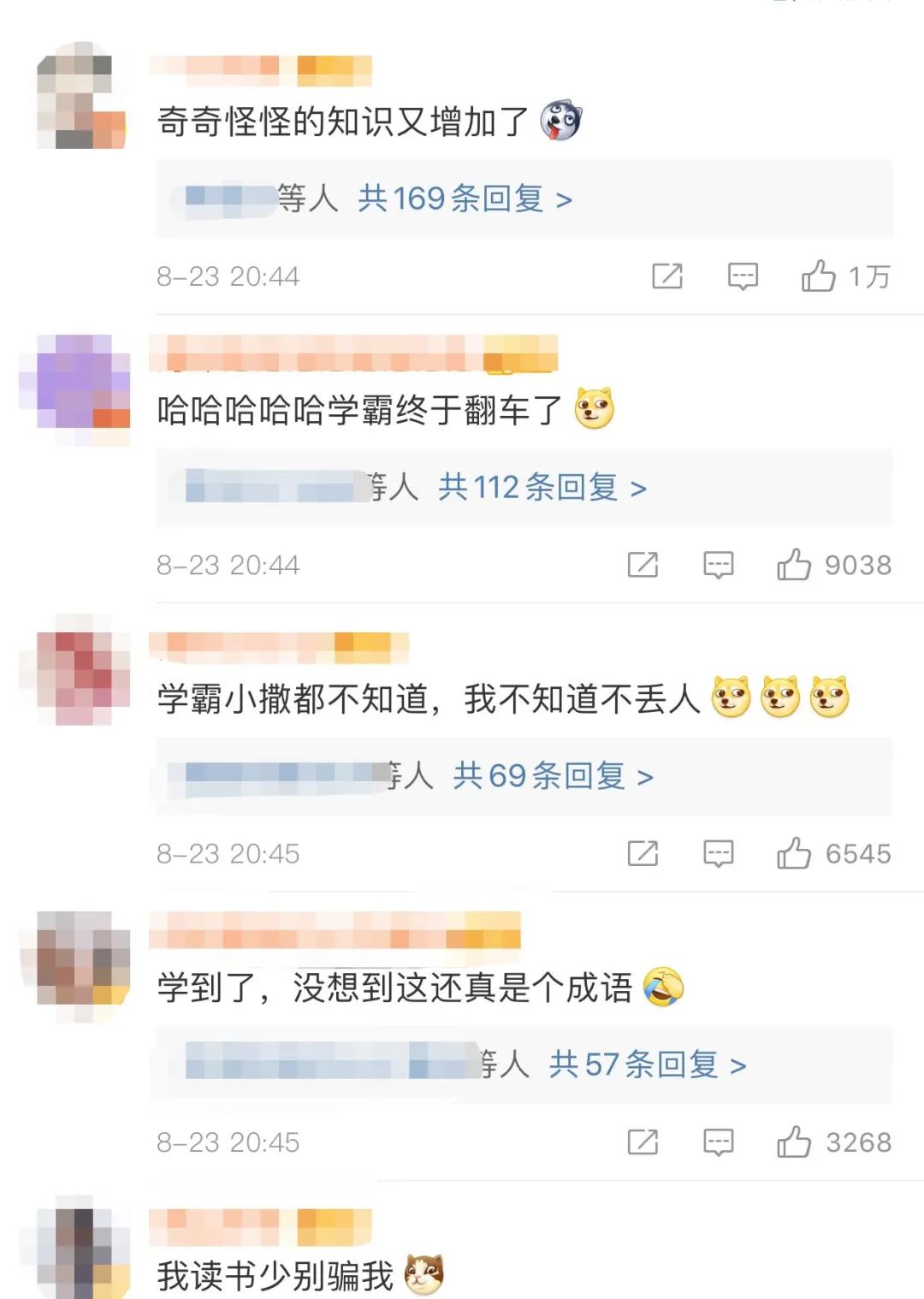 阿猫什么成语_成语故事图片