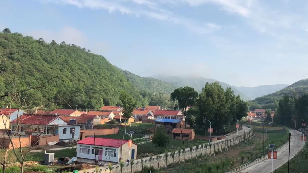 工作组为八里营村制定精准脱贫战略:培育有机水稻,养殖水产,发展炕上