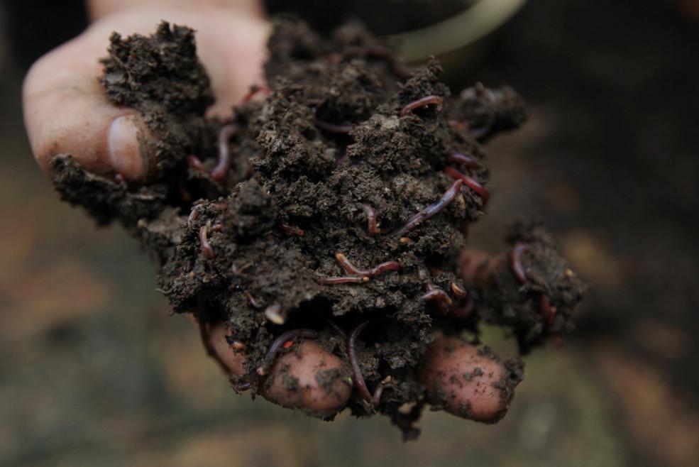 3岁男童路边玩耍,被坐白色车女子抱走||济南一小区惊现恶犬,巡特警2枪