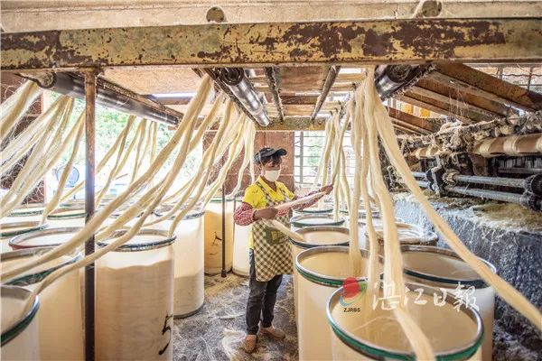 威水湛江这片剑麻的海全国第一