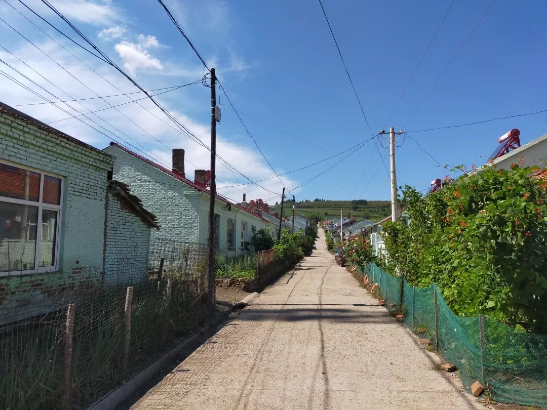 美丽家园鸡西市妇联深入梨树区调研推进美丽家园创建