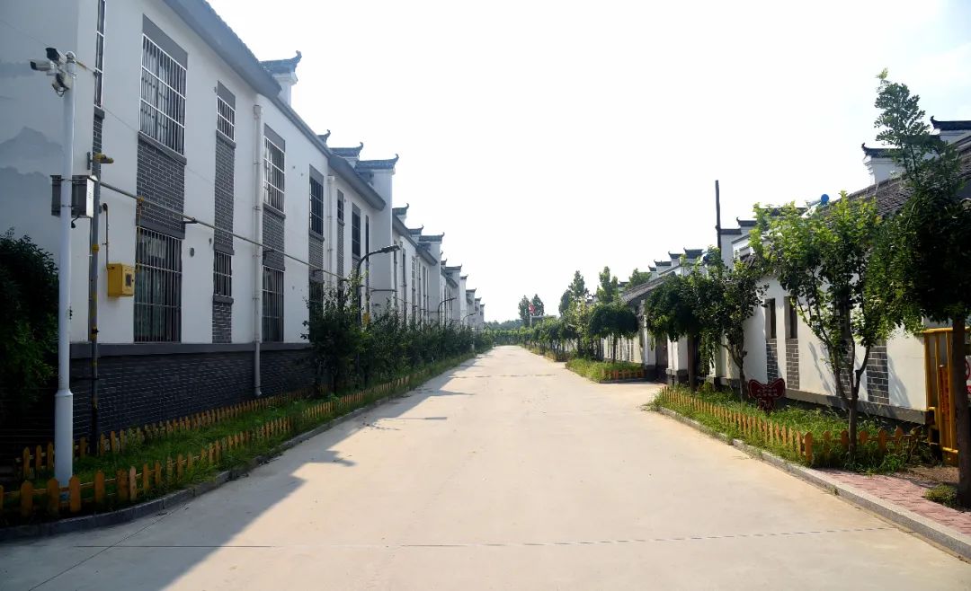 我家街巷最美系列展示东营市广饶县桥头王村