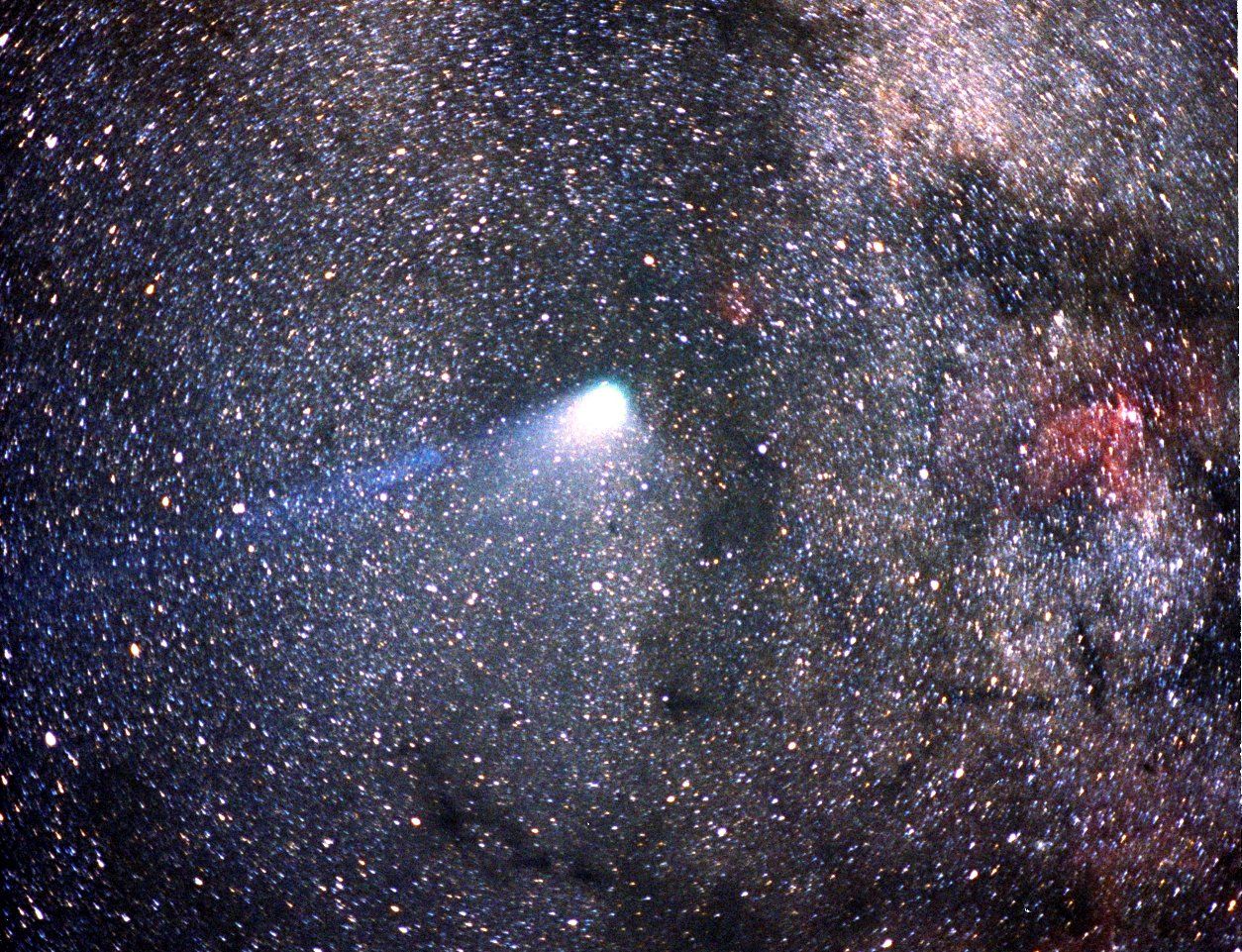 彗星照片实拍图片
