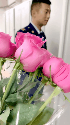 刘潇原标题:《七夕,当蓝朋友收到玫瑰……》