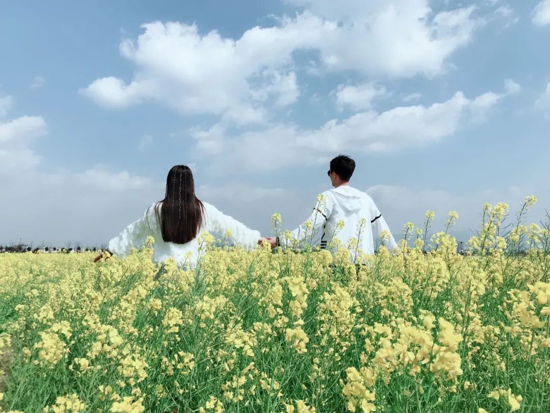 这就是我们爱情最美的样子