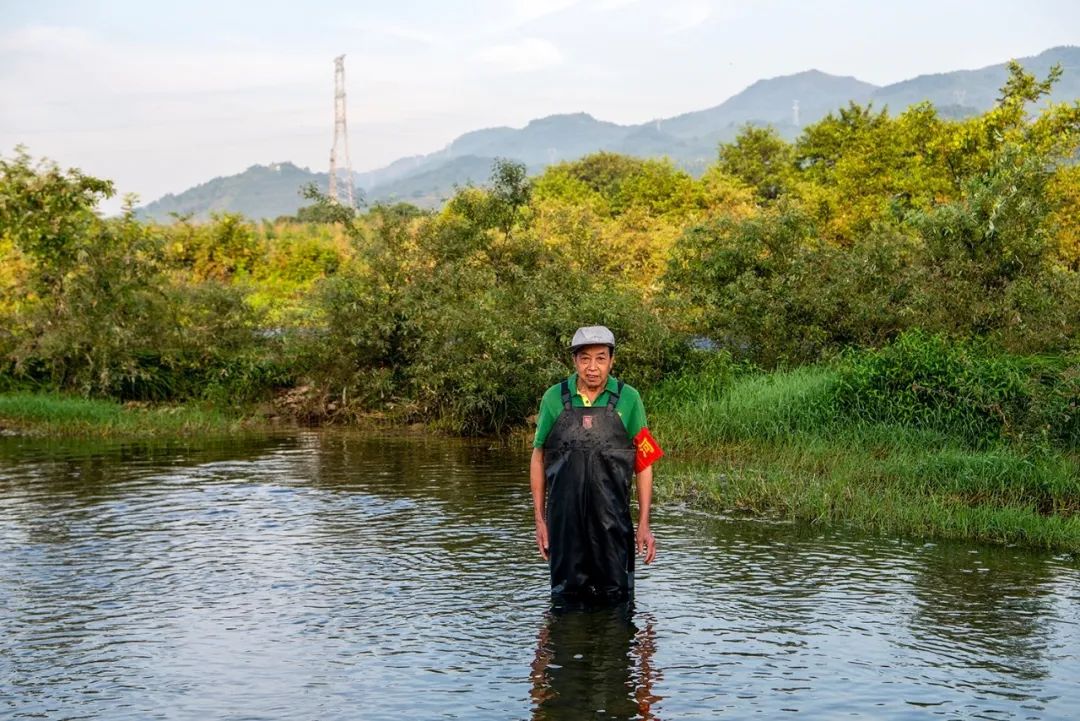 南秦江段水南江段楊碓埠碼頭西街江段龍泉江段榴槎洲江段桐山江段宮頭