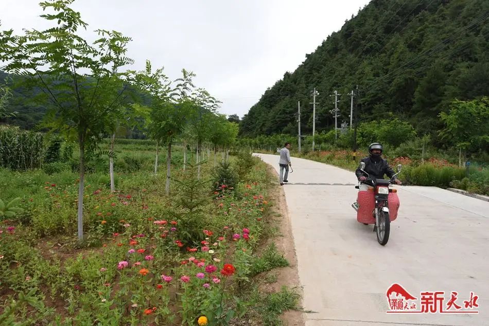 高桥村人口_湖南常德桃源高桥村