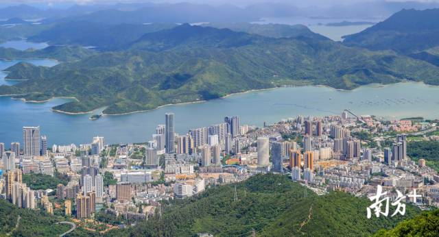 盐田区:加快迈向现代化国际化创新型滨海城区