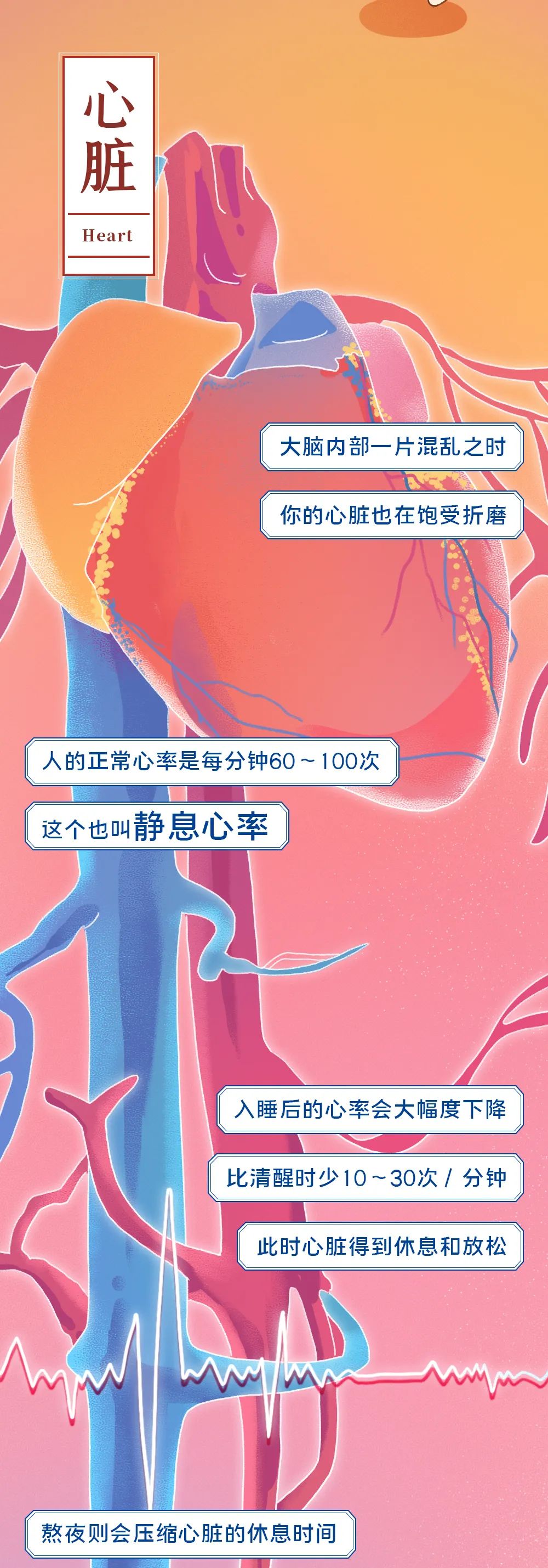 “熬夜作死”全过程曝光_澎湃号·政务_澎湃新闻-The Paper