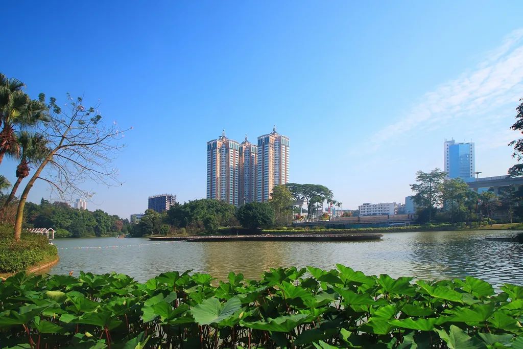 东湖公园 彭伟宗 摄