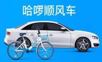 哈啰順風車亂象不止轉單：不符合資質花三百就能代辦成為司機