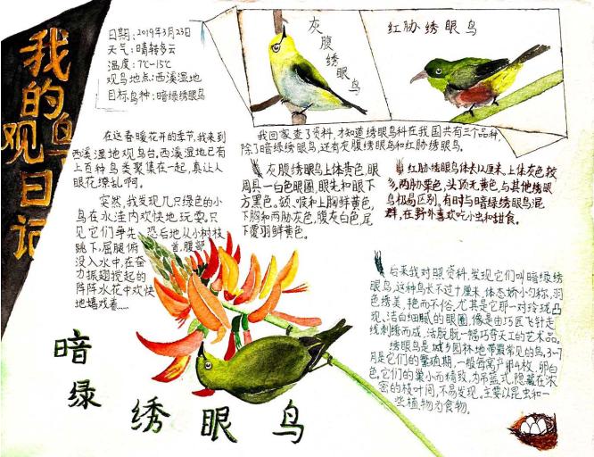 2019优秀生态环境宣传产品 ㉑|美丽中国我是行动者2019年全国青少年