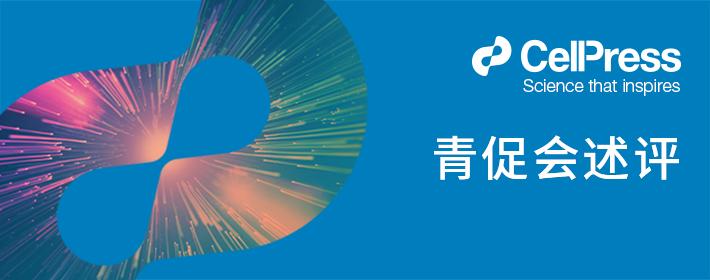 基于非卤素溶剂的效率超14%太阳能电池组件_湃客_澎湃新闻-ThePaper