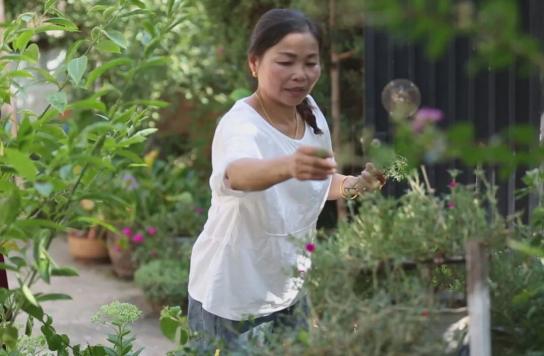 还记得那支鄱阳抗洪广场舞阿姨团吗余风英从村舞台走上全国妇联演讲台