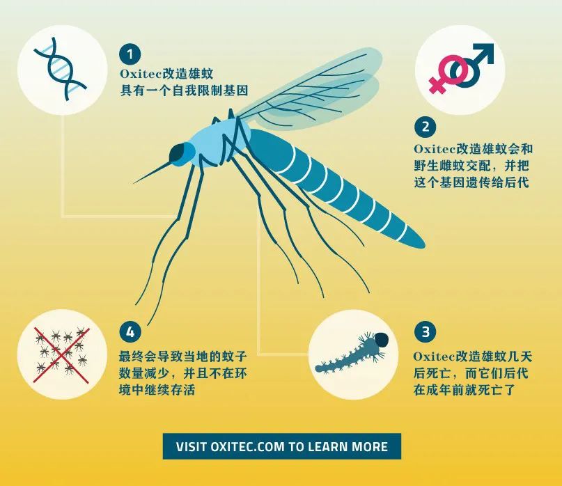 只有坚持什么基本原理_坚持手机壁纸(2)