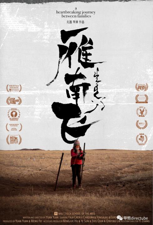 2020年中国对比美国g_2020年美国大选图片