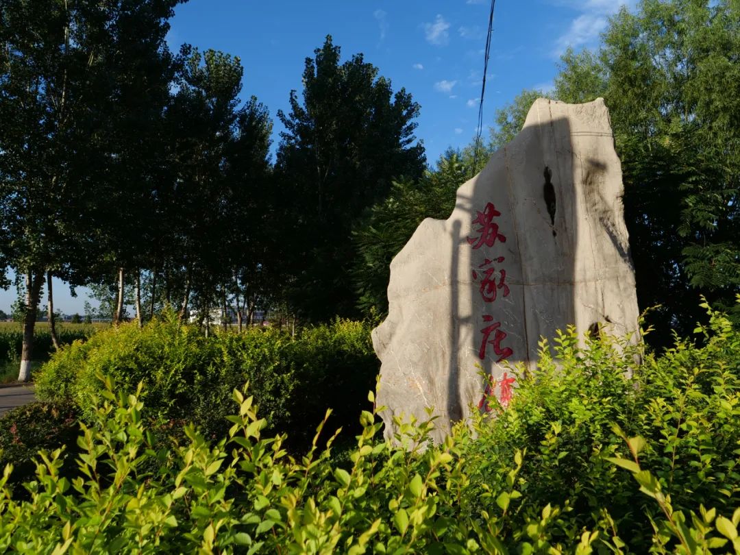 苏家庄镇新乡贤成为乡风文明生力军