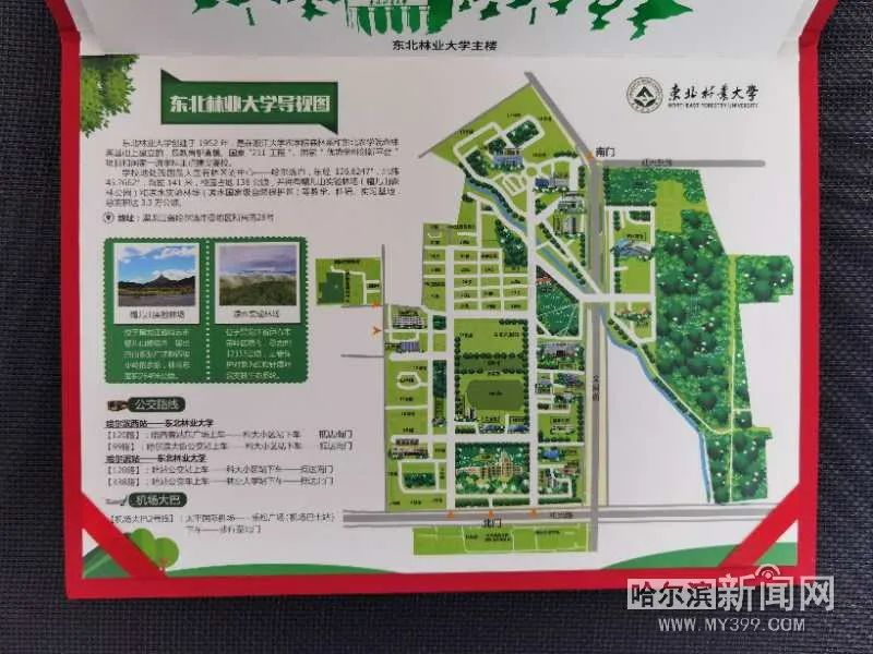 云南西南林业大学地图图片