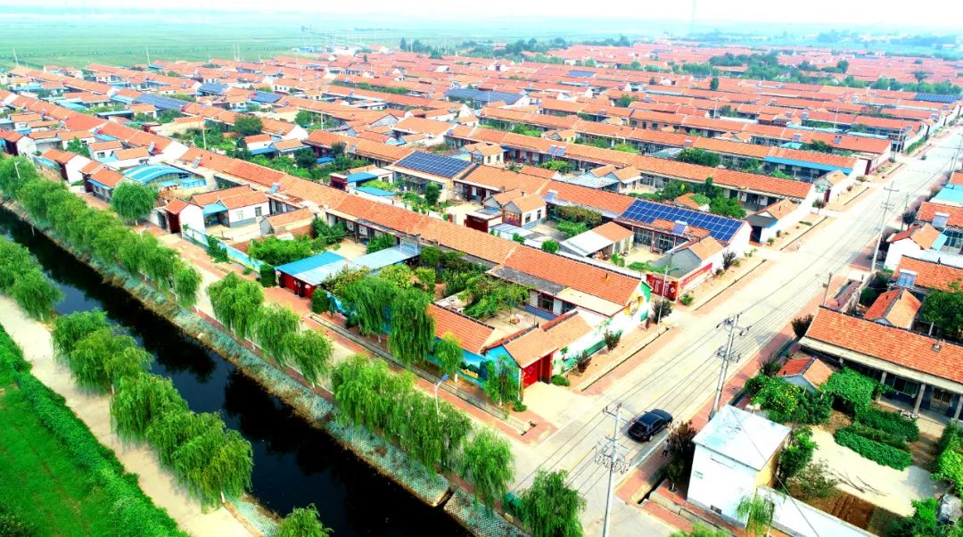 我家街巷最美系列展示东营市广饶县稻庄镇南塔村