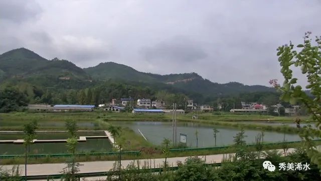 黄强胤到清泉镇翟铺村闫河村调研脱贫攻坚工作