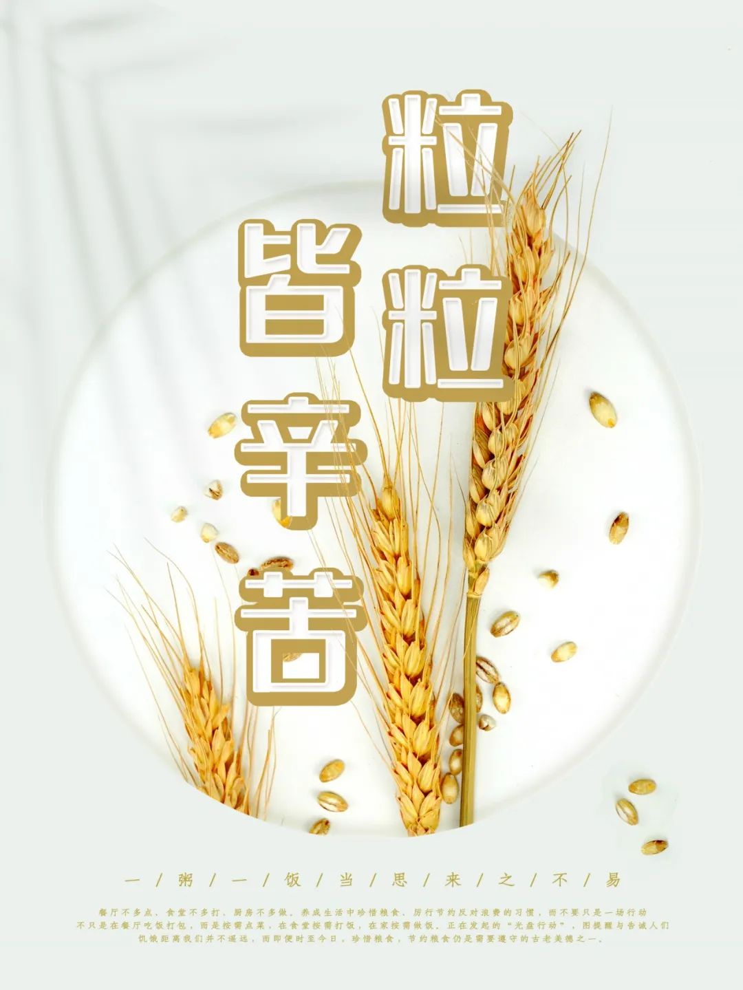 节约粮食从娃娃做起我区小小节粮宣传员上线啦