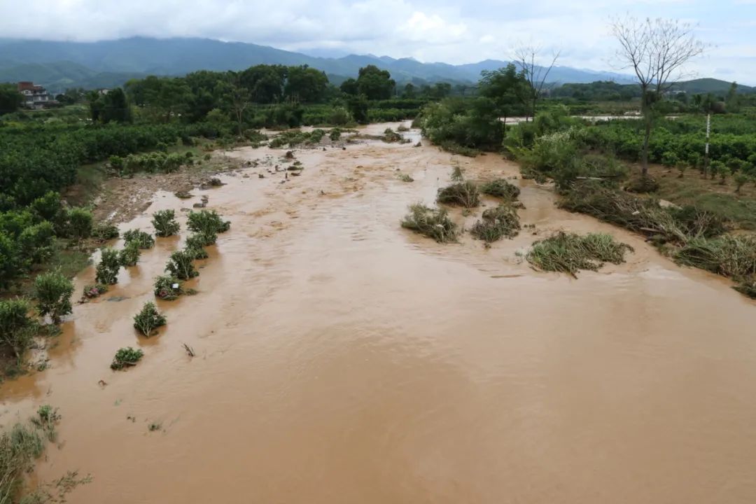 雷暴雨天氣請注意防範丨我縣遭遇強降雨多地受災嚴重韋德斌深入一線