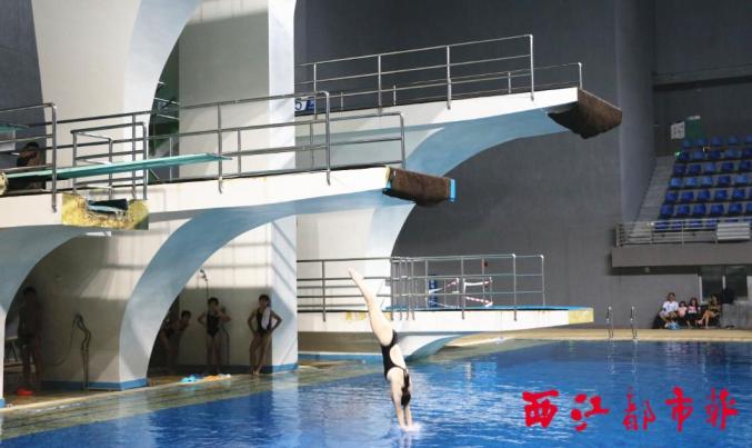 来自南宁,柳州,钦州,梧州等地7支代表队共61名跳水小将在跳台,跳板上