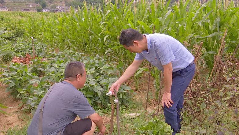 攀枝花英才 白明祥:扎根基层,助力加快建设现代农业示范基地