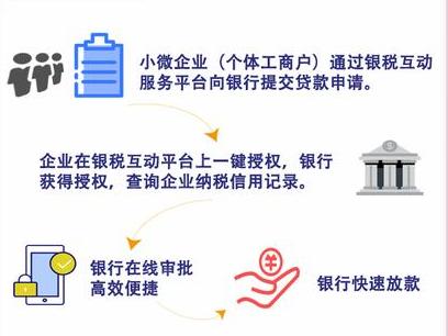 民营经济最大总量_最大的蜘蛛(3)