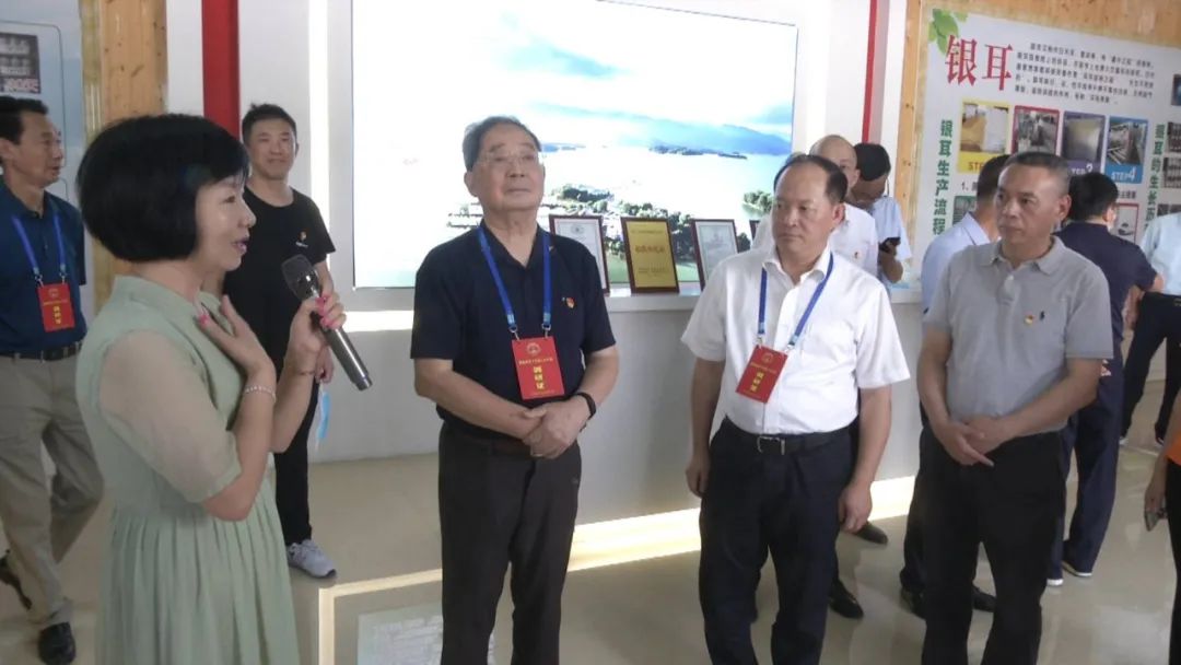 宁德市省人大代表深入古田县开展专题调研活动