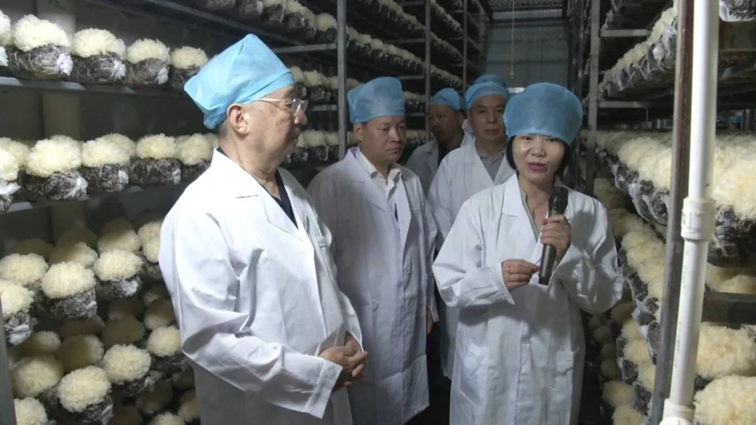 宁德市省人大代表深入古田县开展专题调研活动