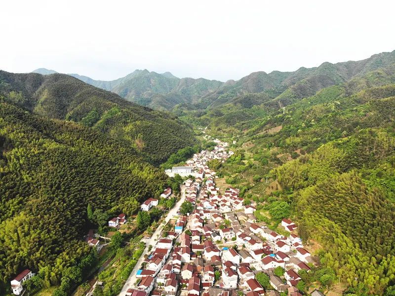 共建美丽家园 共享绿水青山 | 宣州区溪口镇金龙村谭村组推进"十星