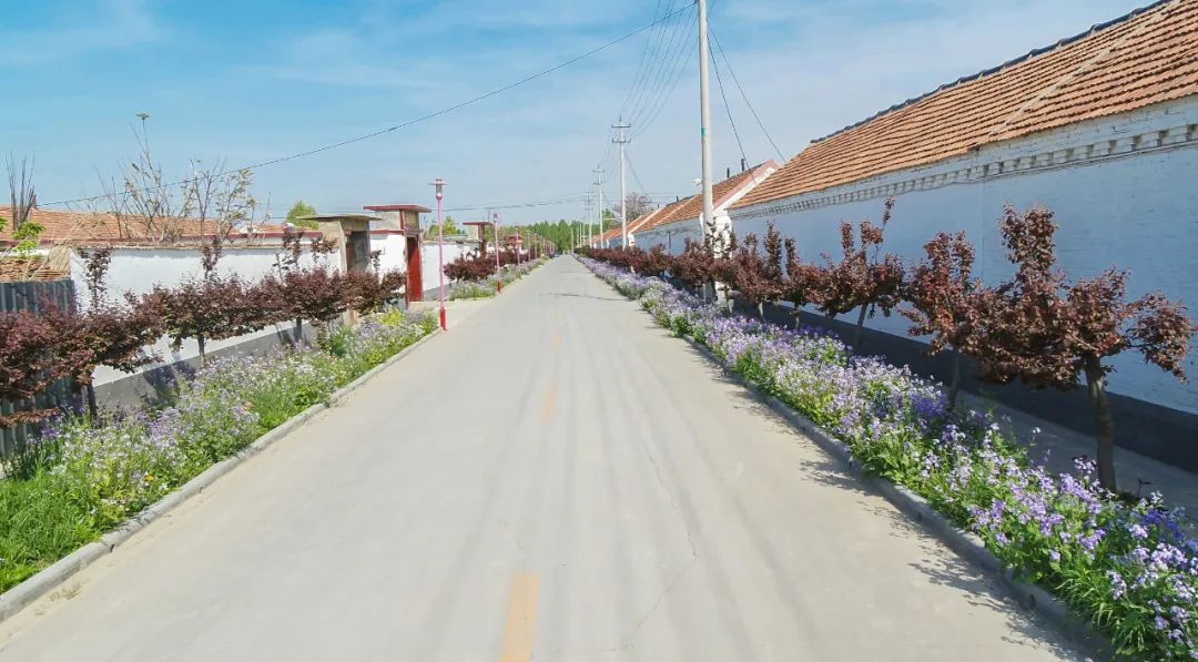 我家街巷最美系列展示东营市广饶县大王镇封庙村