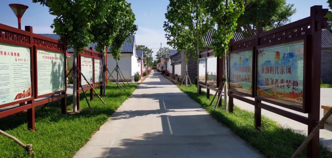 我家街巷最美系列展示东营市广饶县大王镇封庙村