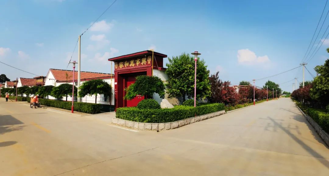 我家街巷最美系列展示东营市广饶县大王镇封庙村
