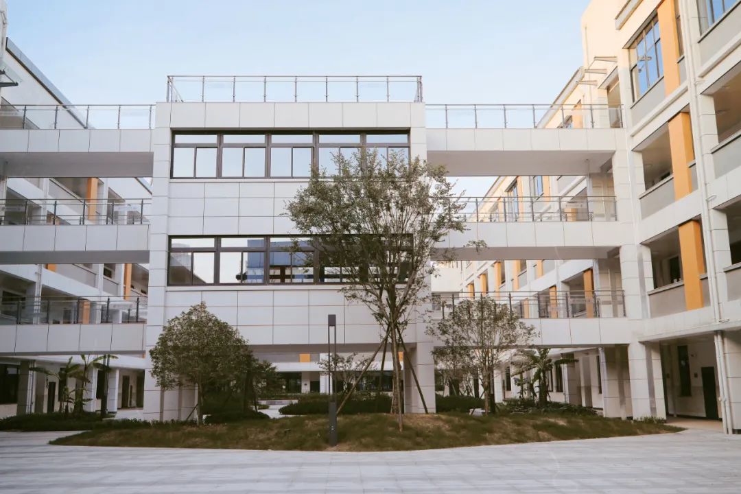 小浃江学校(小学部)新校区来了