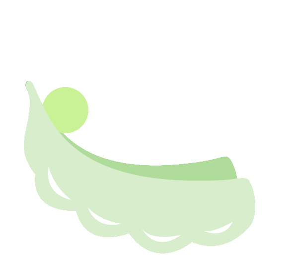 方志四川 特产 大竹特产 苎麻