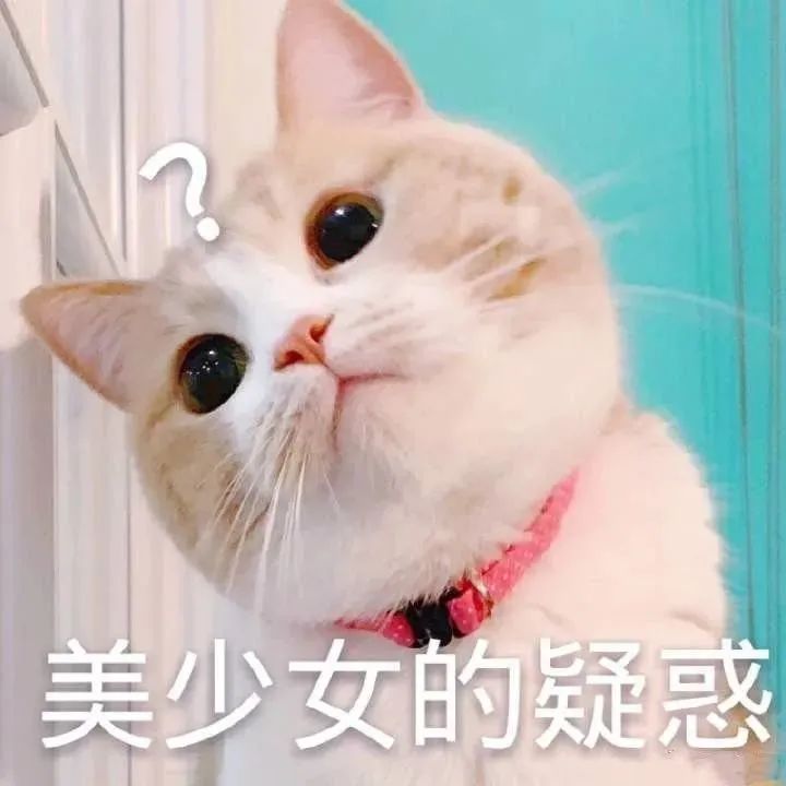 【同心教育】品韵上城 11. 走，去“蒋半城”的家里看看