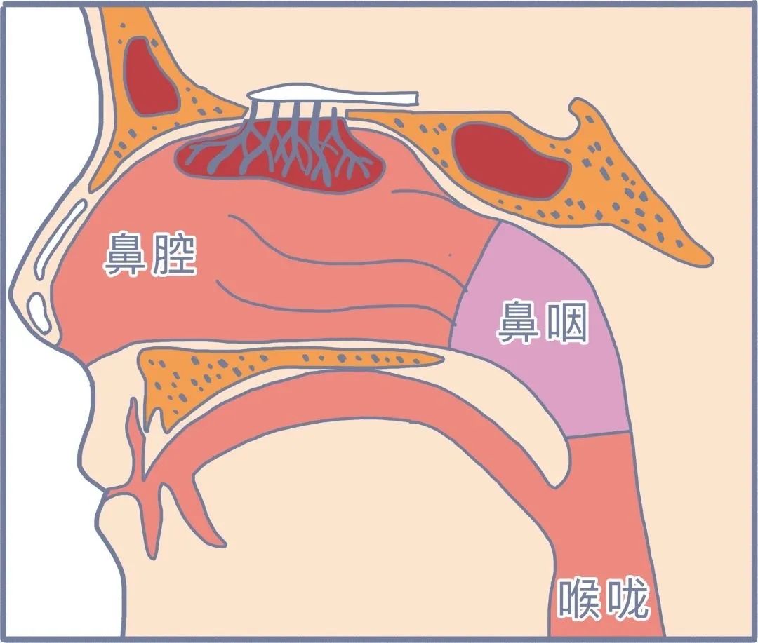 导演陈木胜因鼻咽癌去世有这些症状请尽快就医