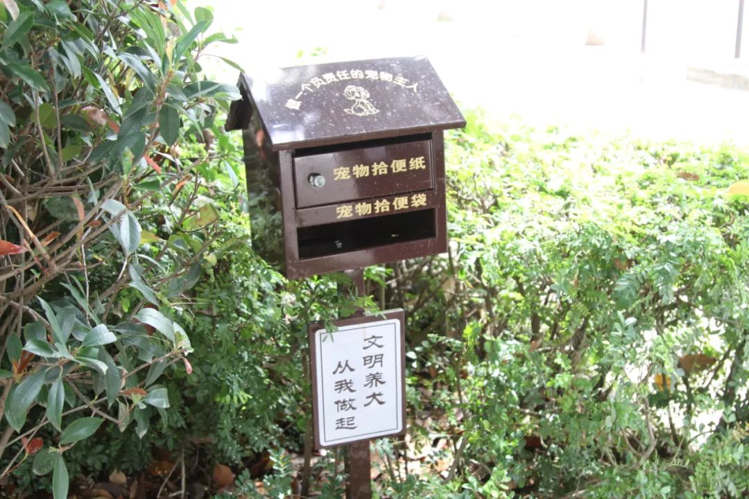 丽江宠物拾便箱烟蒂收集器正式亮相