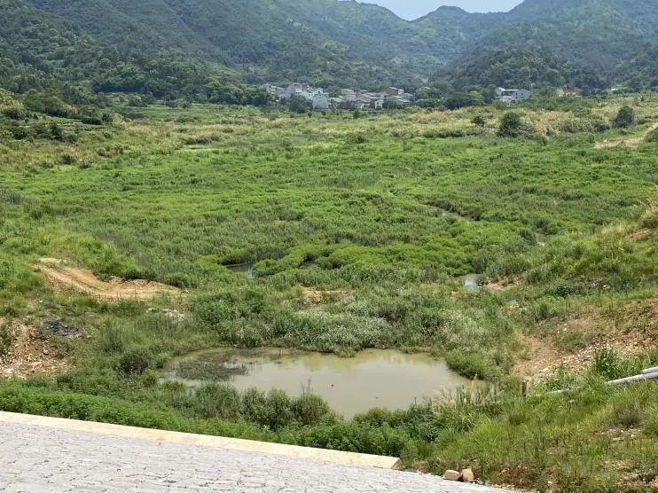 水库防护有效措施瓯海区坑口塘水库:广播循环播放的提醒标语十分清晰.