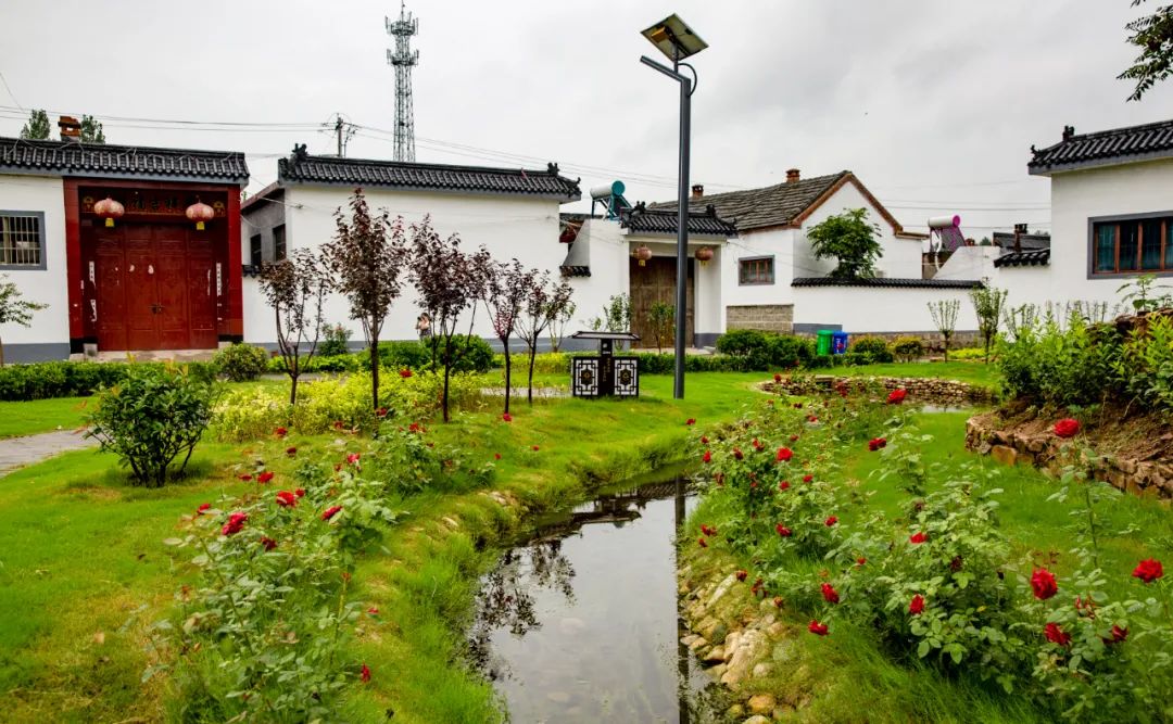 我家街巷最美系列展示济宁市邹城大束镇钓鱼台村