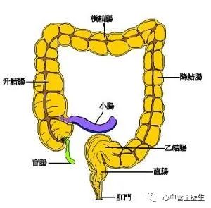 与结肠癌抗争了4年超级英雄黑豹去世