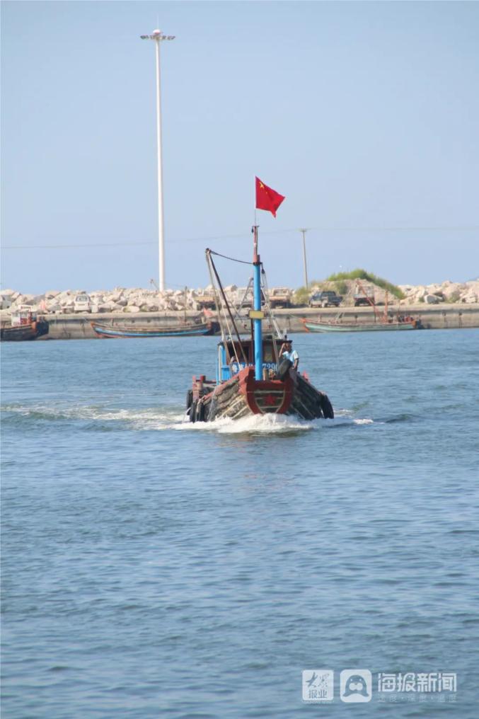 莱州发布随着渔船的靠岸 市民争相购买活蹦乱跳的海鲜 渔民们理货的