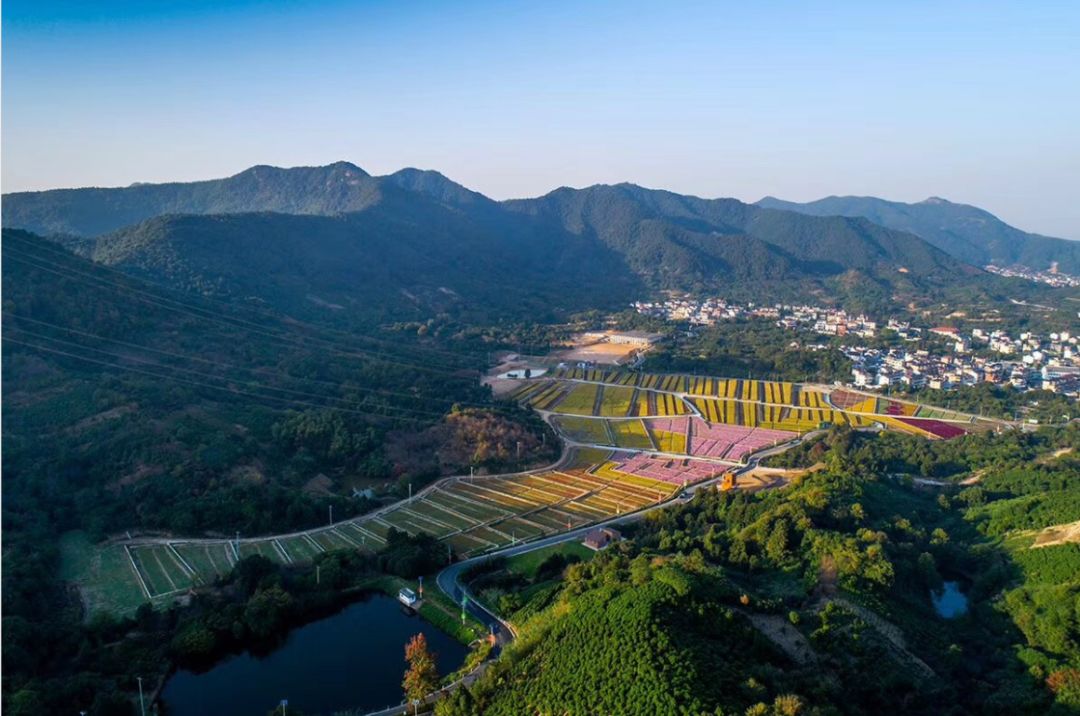 绍兴市棠棣村