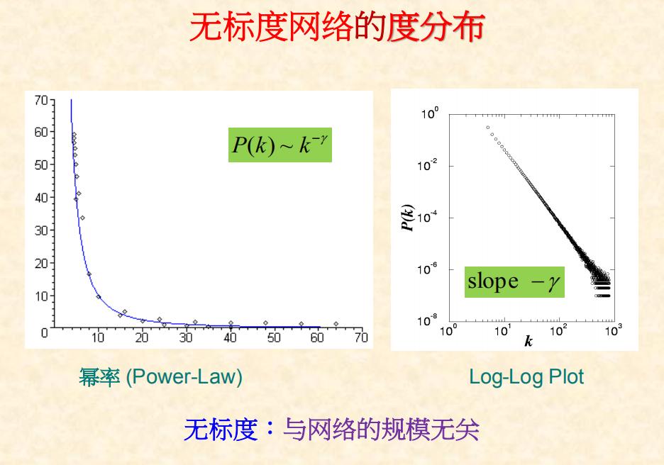 無標度網絡的度分佈呈冪律分佈.