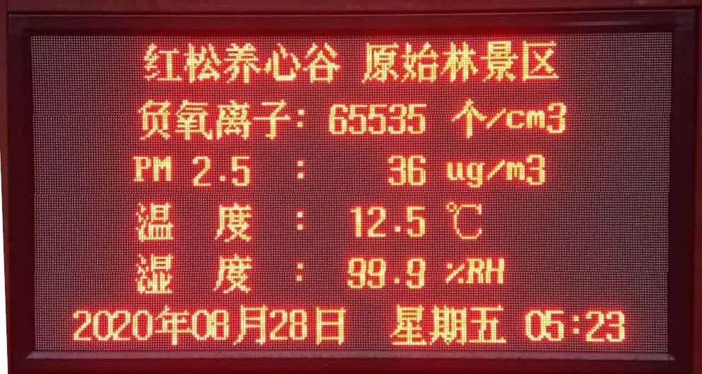 赏原始森林之美 享润肺养心之旅 在雨后的雪乡邂逅诗和远方